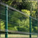 Frame 1000005520.webp